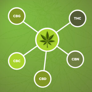 cannabinoid graphic