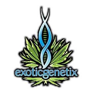 exotic genetix logo