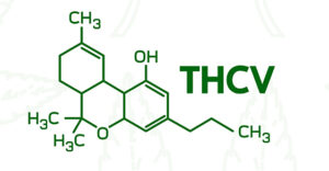 Tetrahydrocannabivarin (THCV)