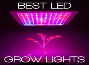 best led grow lights 2022