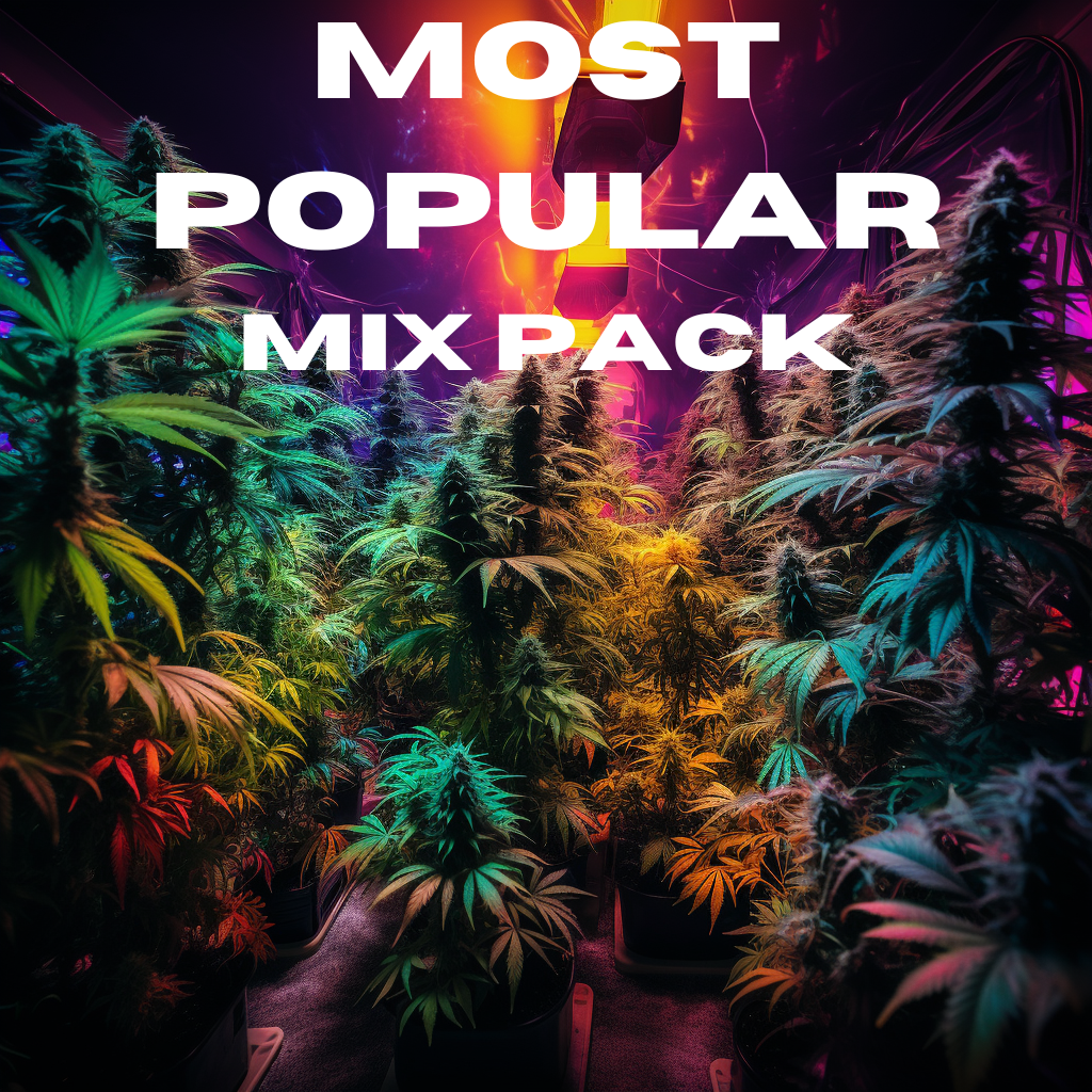 Most Popular Mix Pack